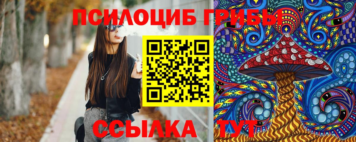 Владимир  Псилоцибиновые грибы мухоморы  где можно купить   Вход с VPN 
